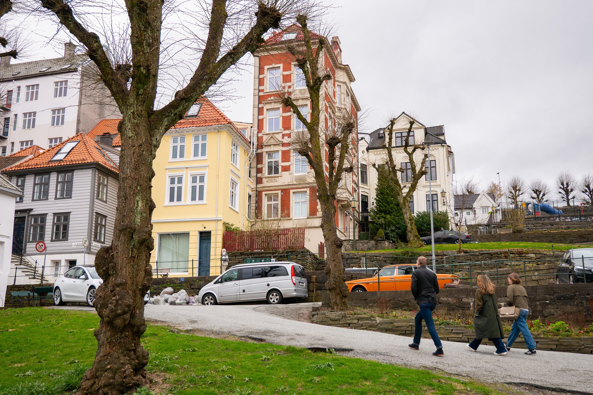 P1490110.jpg