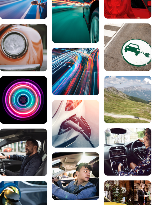 Bauer Automotive