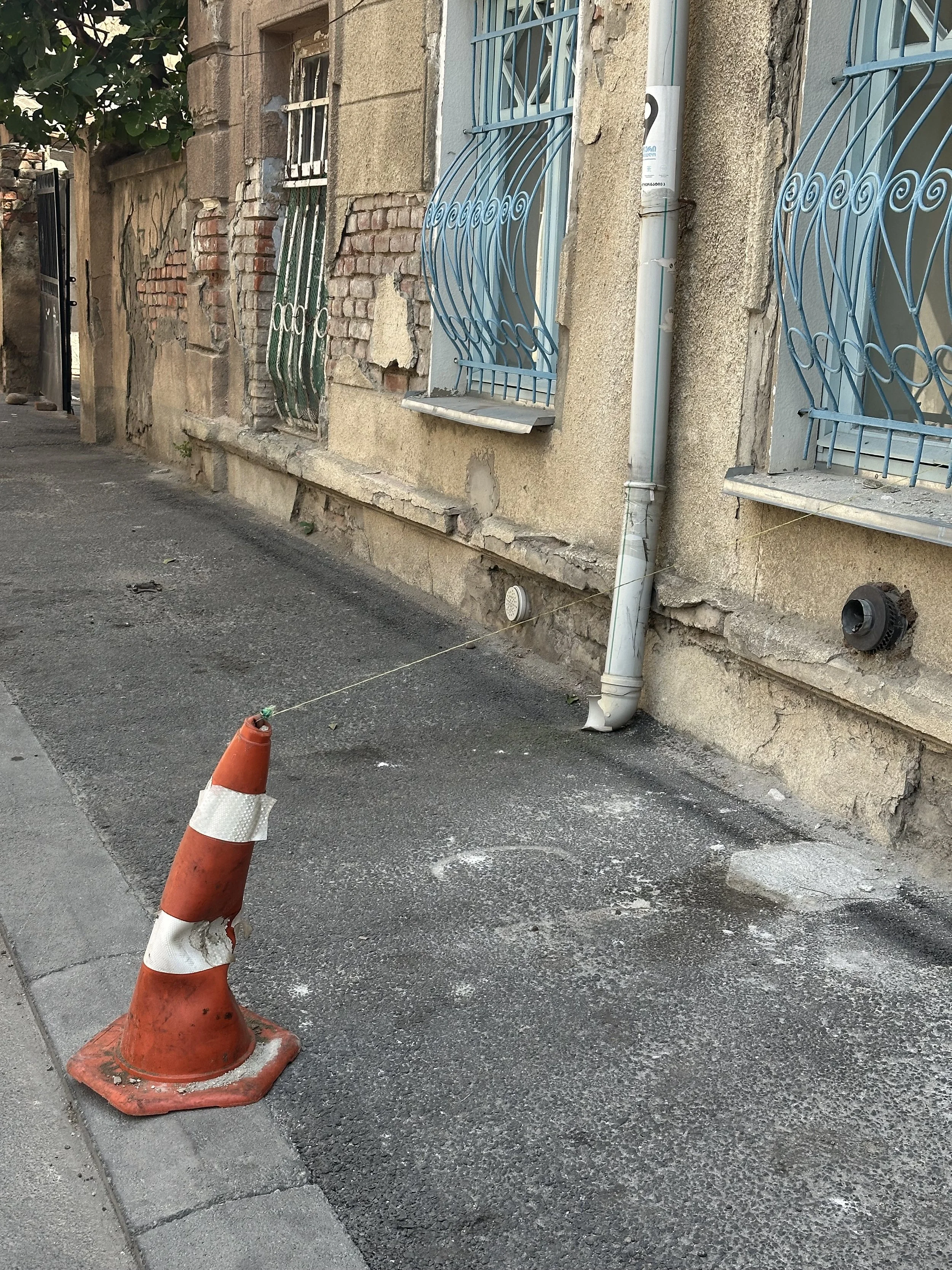 IMG_5339.jpeg