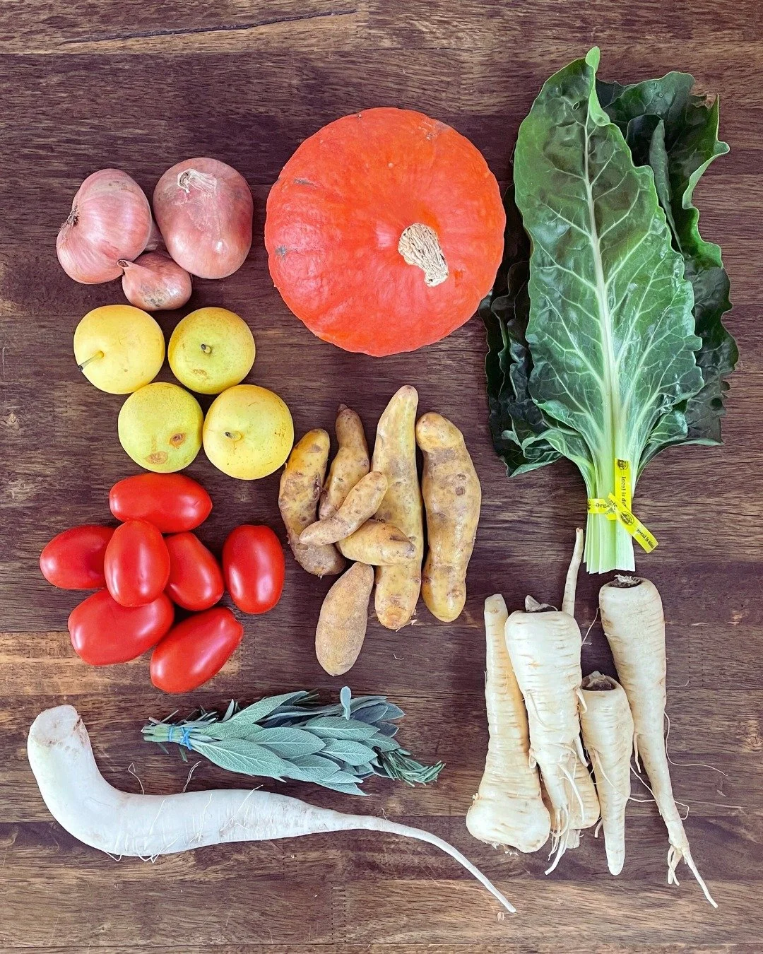 Week 19 of the CSA is here! After this week, we have only one delivery for the summer CSA before the fall CSA begins. Haven't had a chance to sign up for the fall program yet? It's not too late! Head to the link in our bio to sign up today >>&g