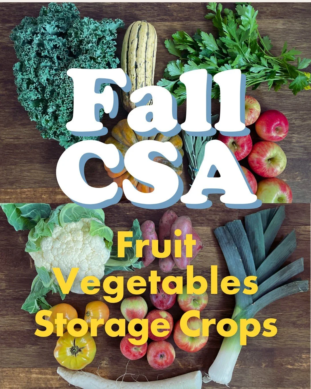 Last call to sign up for our fall CSA program! We only have a few fall shares left, so snag a share today. 
Our Fall CSA starts on Thursday, Oct 16 for a total of 6 deliveries. Fall CSA members will enjoy a weekly delivery of fruit, veggies, and sto