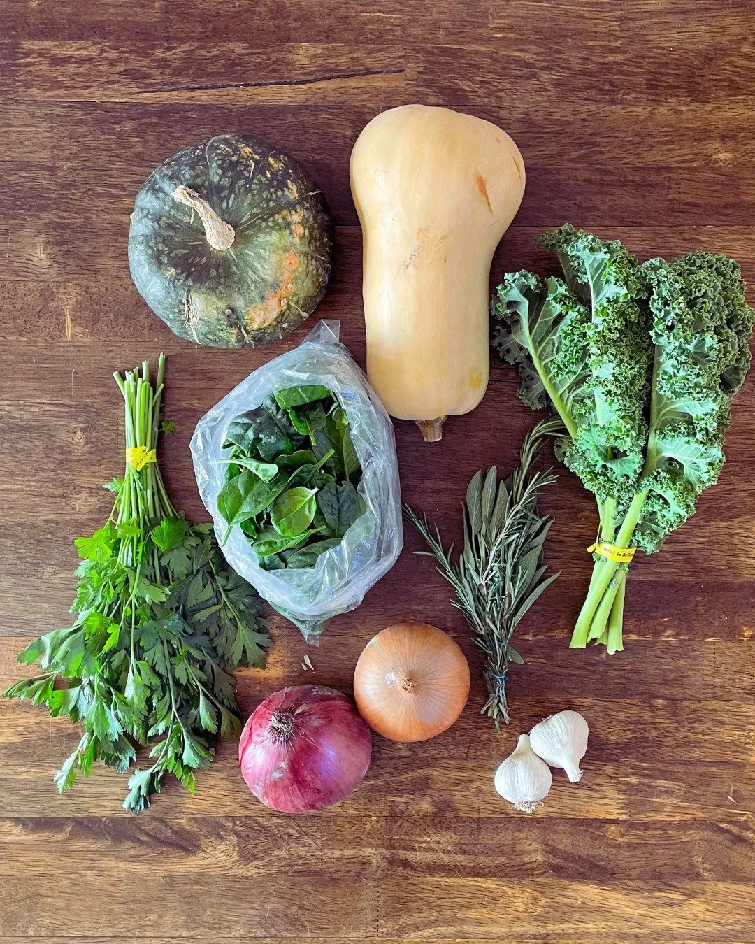 Week 2 of the Fall CSA is here! What a beautiful array of veggies we've got today. Read on to find out what's in your box.
Fall shares get garlic from @fivefoxfarm, onions from @coyotesmilefarm & @fivefoxfarm, winter squash from @foothill_farm,