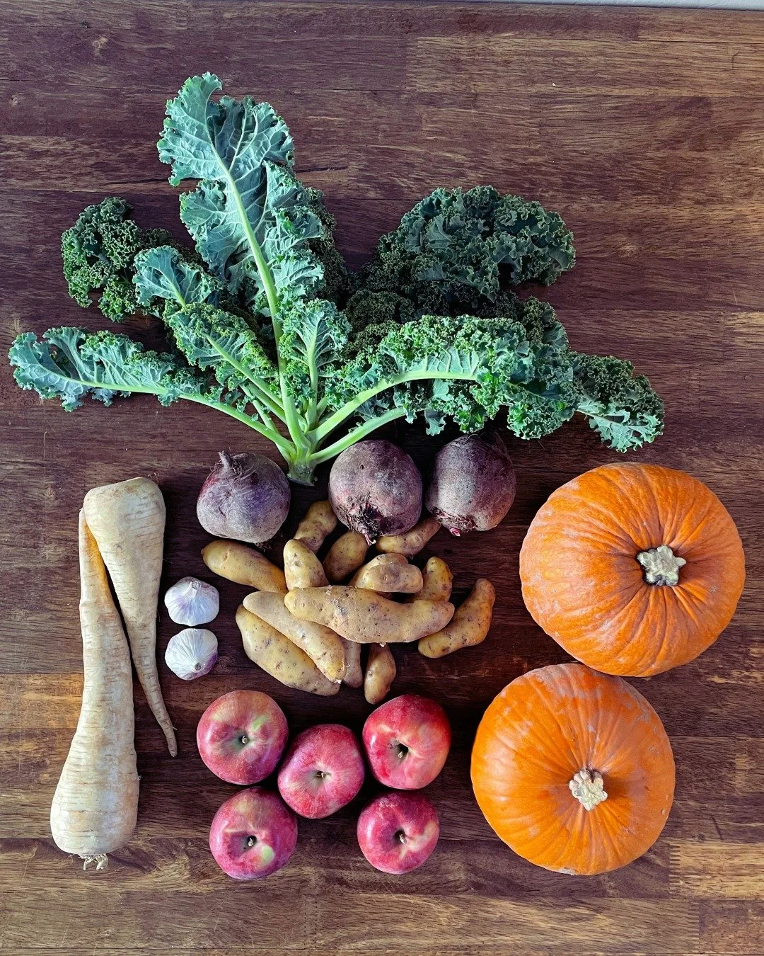 Week 5 of the Fall CSA is here! After this week, we have only one delivery for the fall season. 

Fall shares will get garlic from @fivefoxfarm, fingerling potatoes from @foothill_farm, apples from Home Acres Orchard, kale &amp; beets from @lifelinep