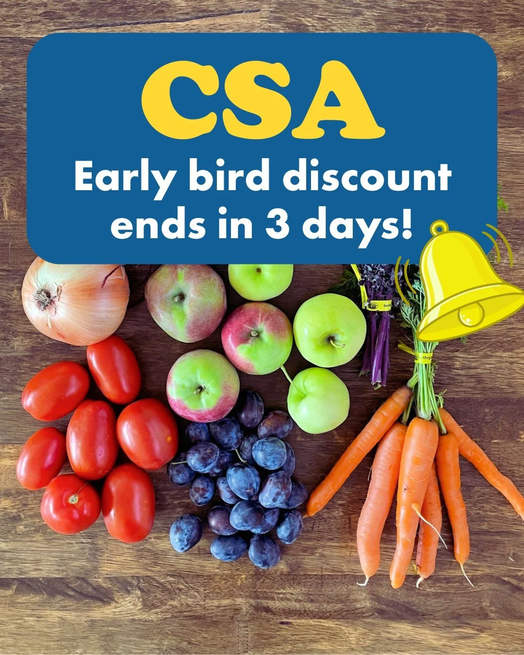 The veggie bell tolls! Lock in your CSA subscriptions by Feburary 28th for the maximum discount! 

Use code: "EARLYBIRD" at checkout on your summer large/small share purchase and know that you have done all you can to lock in the best produ