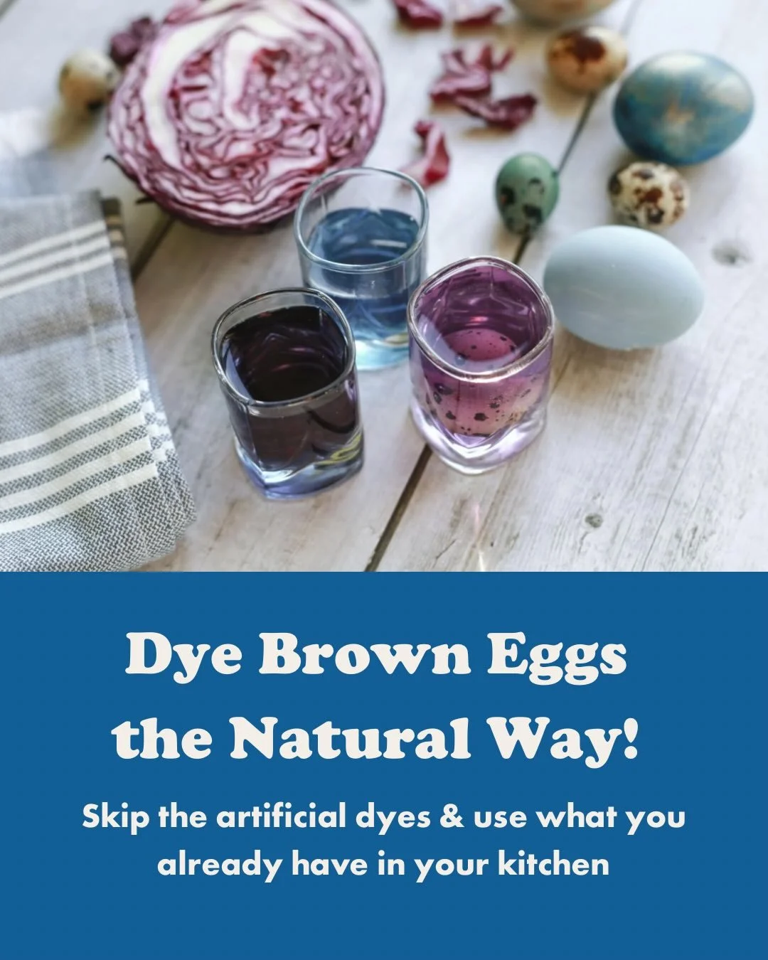 Skip the artificial dyes this year; your kitchen&rsquo;s got everything you need! And with our sale on Mission Mountain Organic Medium egg trays, you can experiment with dyeing brown eggs &mdash; no two turn out the same! 🥚#localisdelicious