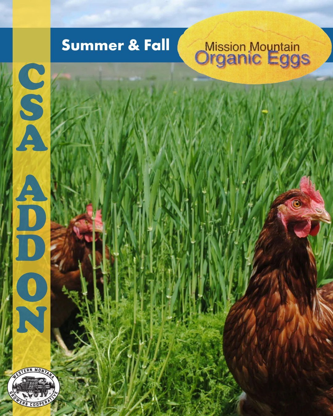 Got Eggs? 🥚 

Try Mission Mountain Organic Eggs. Freerange chickens 🐔 
Eggcelent quality dozens!
>>> Check our Bio for more info

#EggsMT
#OrganicEggs
#DoubleYolk
#Freerangechickens