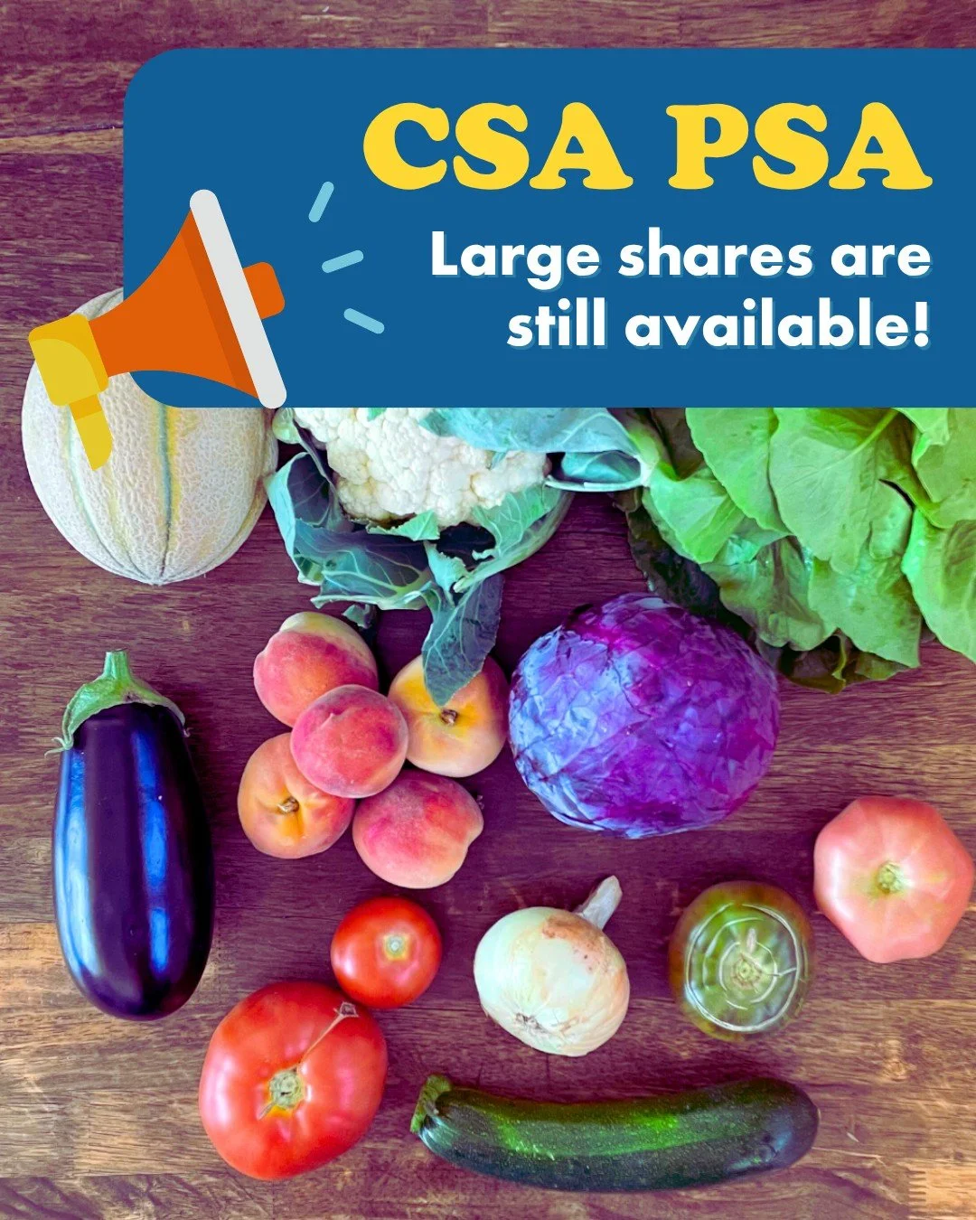 Large shares are still available! Our large shares contain more fruit and specialty items such as mushrooms and heirloom tomatoes. Worried a large share might be too much? Many of our CSA members split with a friend or neighbor. Give it a try! 

Join
