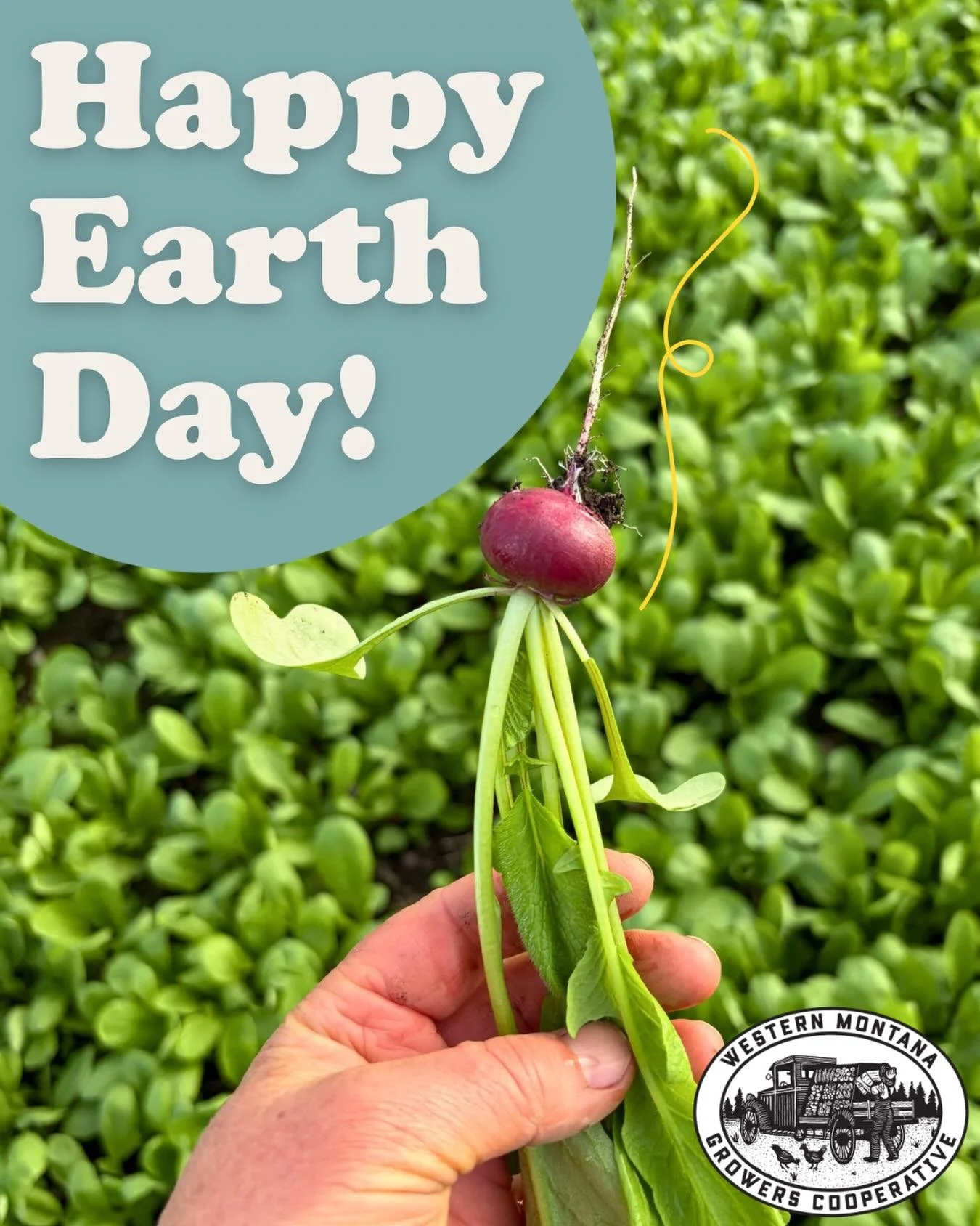 Today (and every day), we at WMGC are grateful for the land that feeds us. 🌎

Thank you to everyone who helps us support local growers, shorten supply chains, and care for this beautiful piece of our planet. 

If you&rsquo;re looking for more ways t