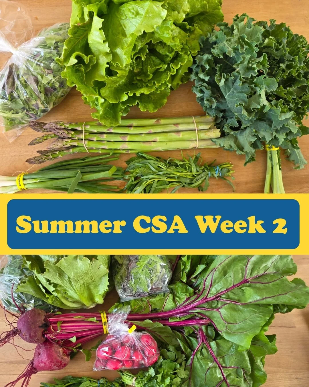 🍄 Summer CSA strikes again! 🥬  Check your membership email for crop details and recipes!