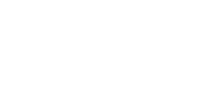 Stephen Dasko for Mayor
