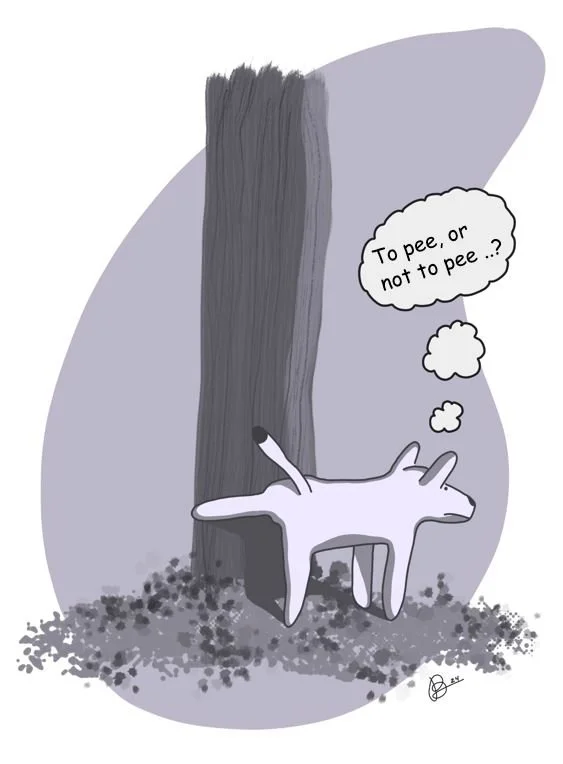 To pee, or not to pee