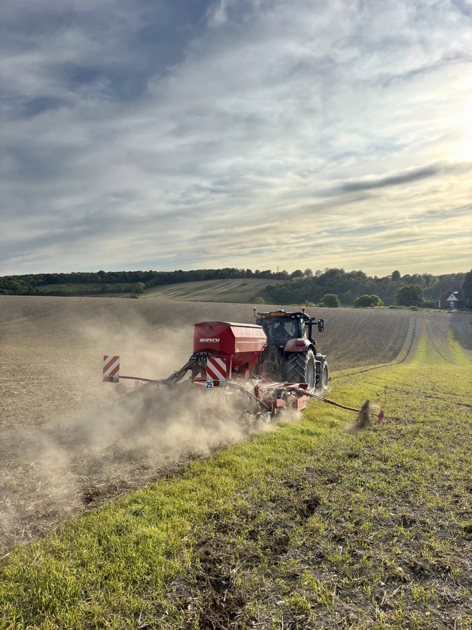 Location Farm - behind the scenes planting3.jpeg