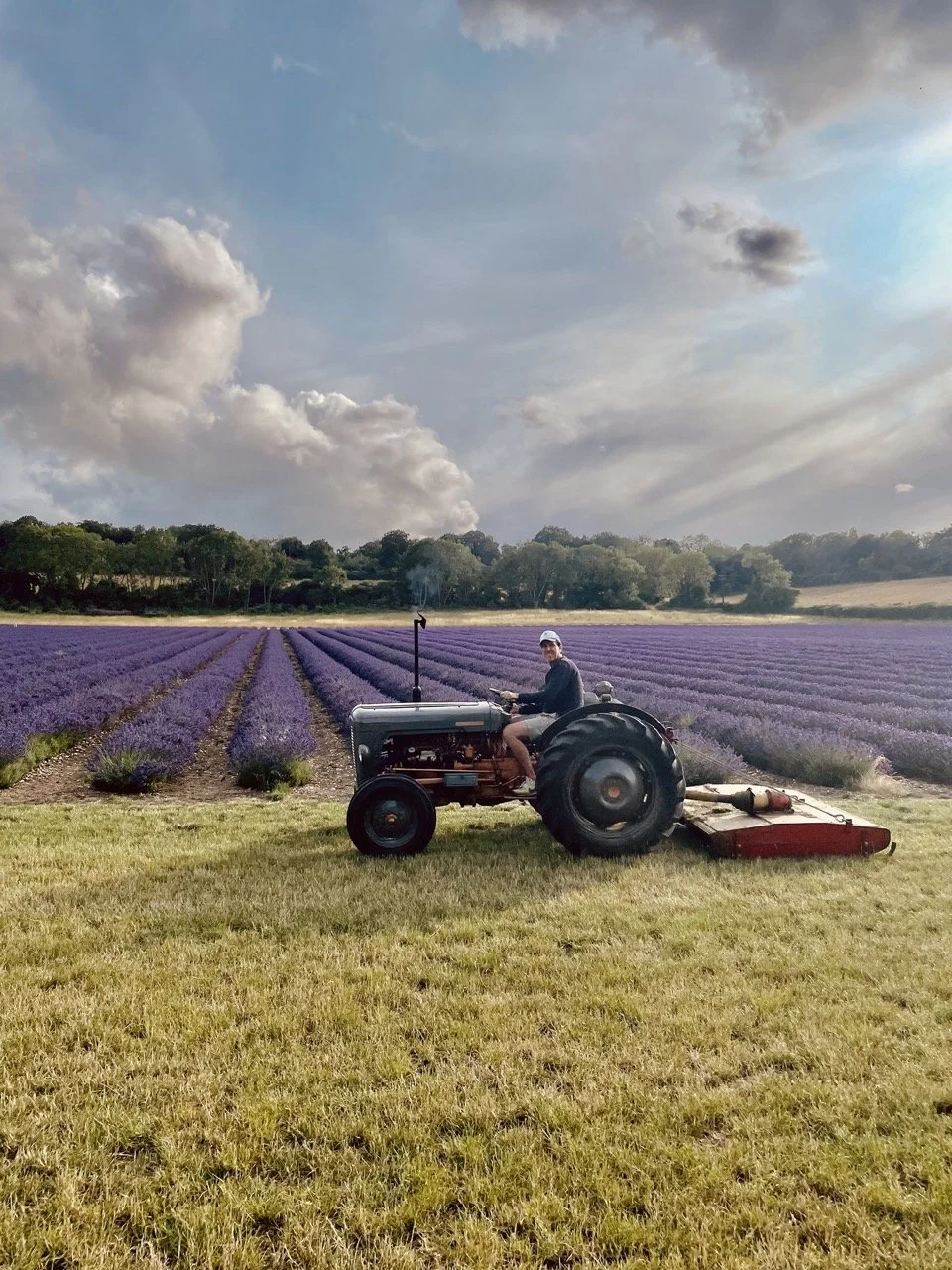 Location Farm - behind the scenes planting2.jpeg