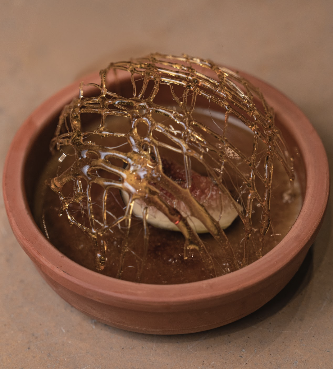 Screenshot 2026-03-04 at 16.08.55.png