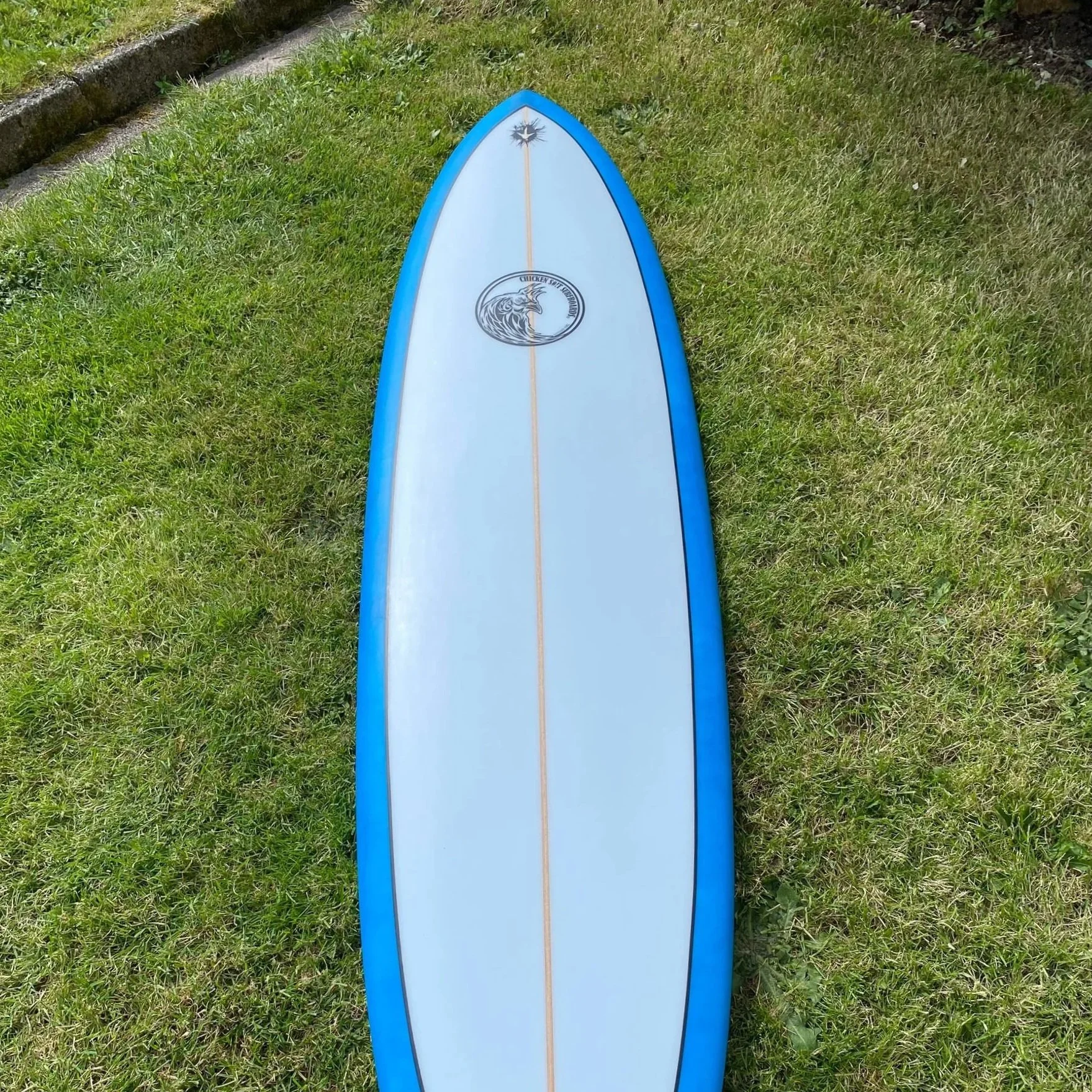 A blue and white surfboard lying on green grass.