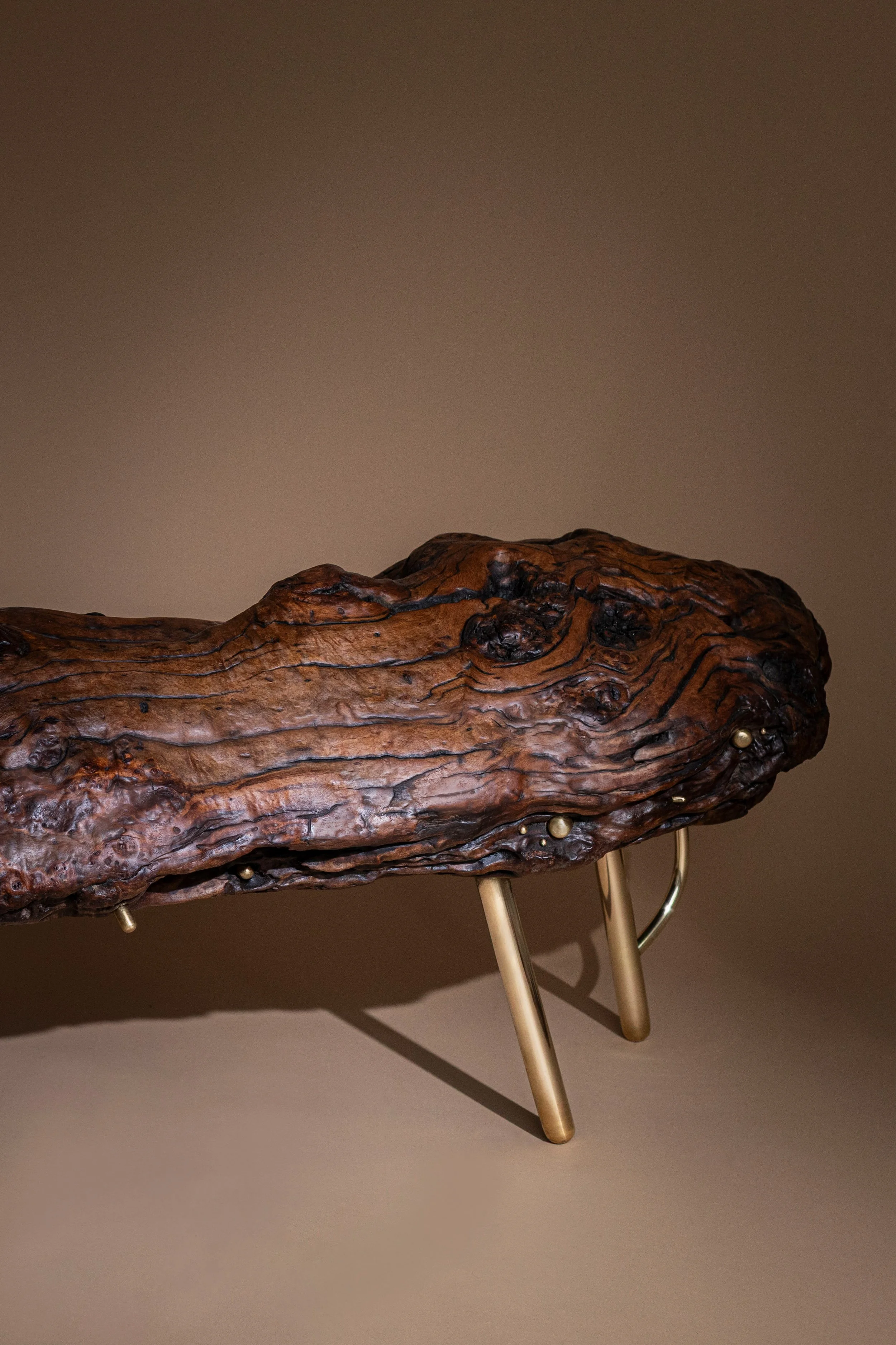 Burle Bench 1.jpg