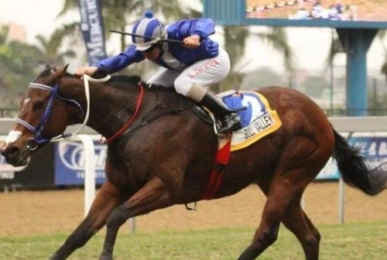 Previous G1 Mercury Sprint Winners