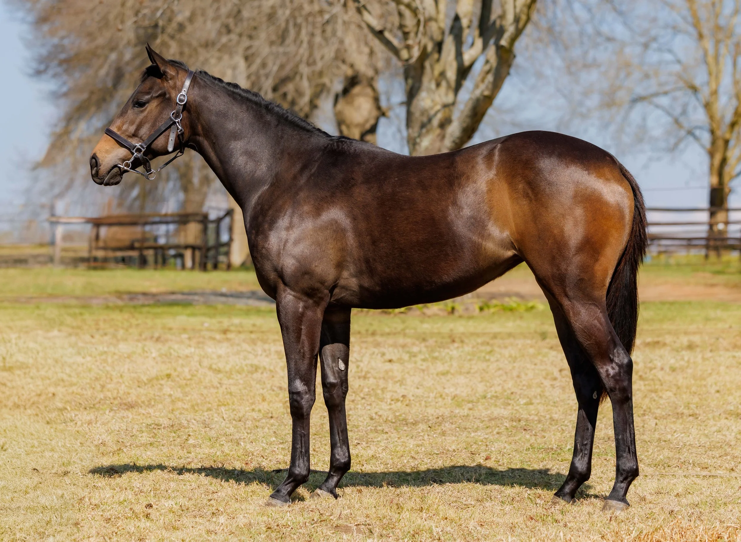 Exciting Prospects Join Sean Tarry Racing