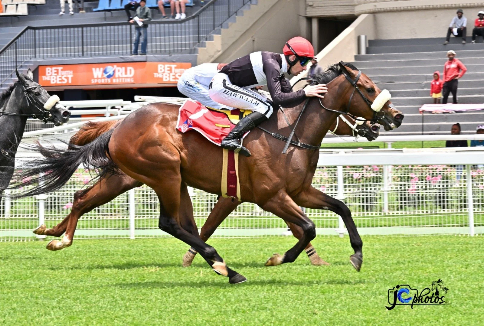 Vercingetorix Gelding Shows Speed On Debut