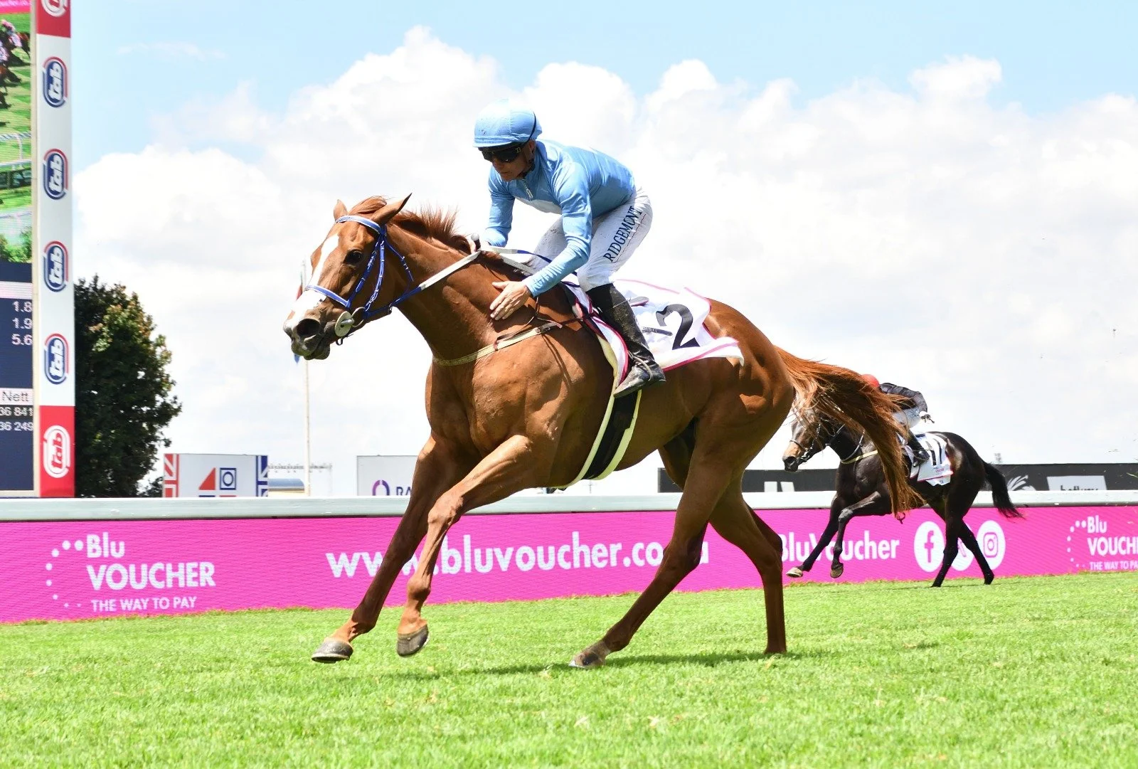 Mia Moo Impresses In Carry On Alice Win