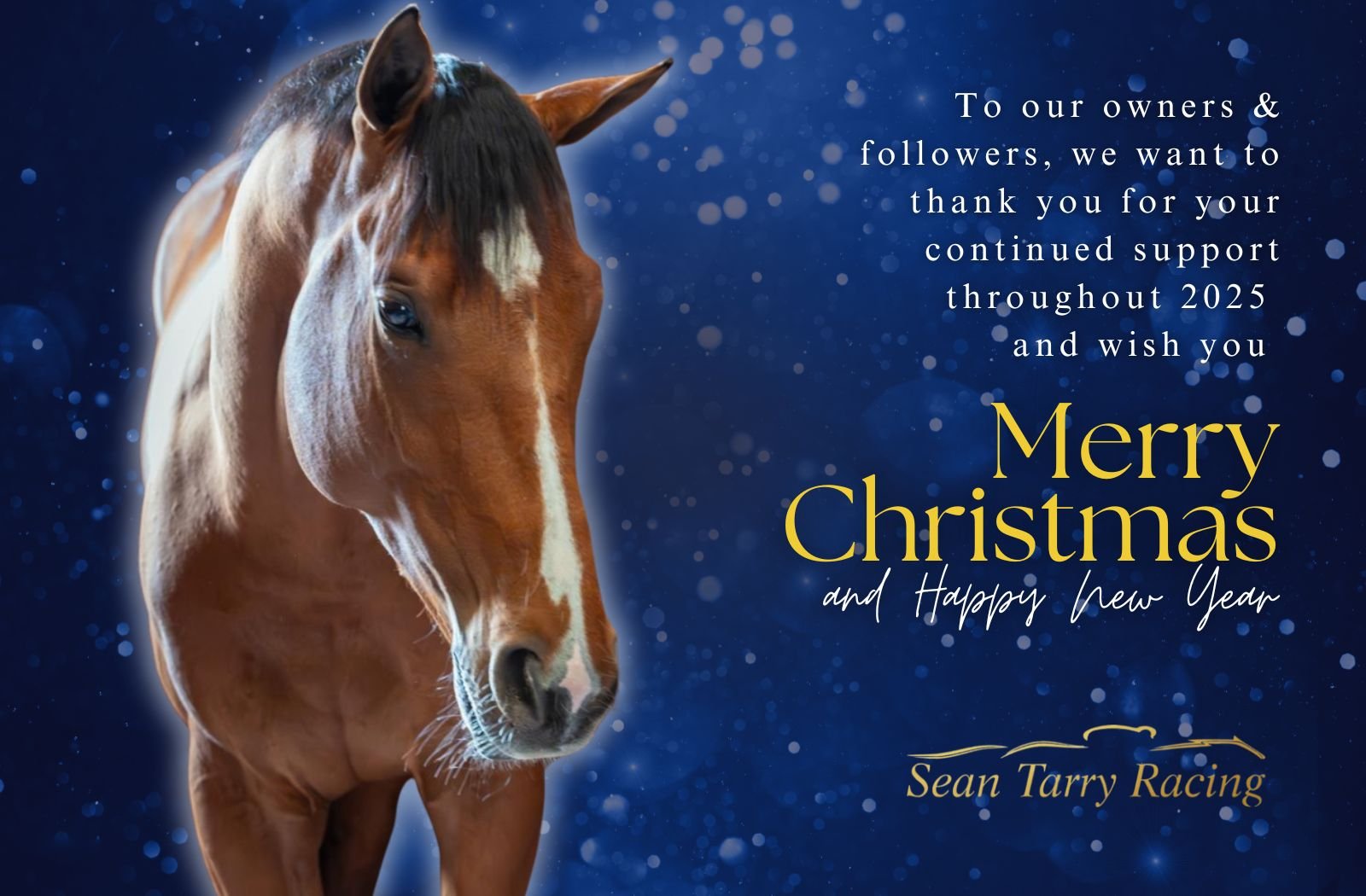 2025: Another Great Year!