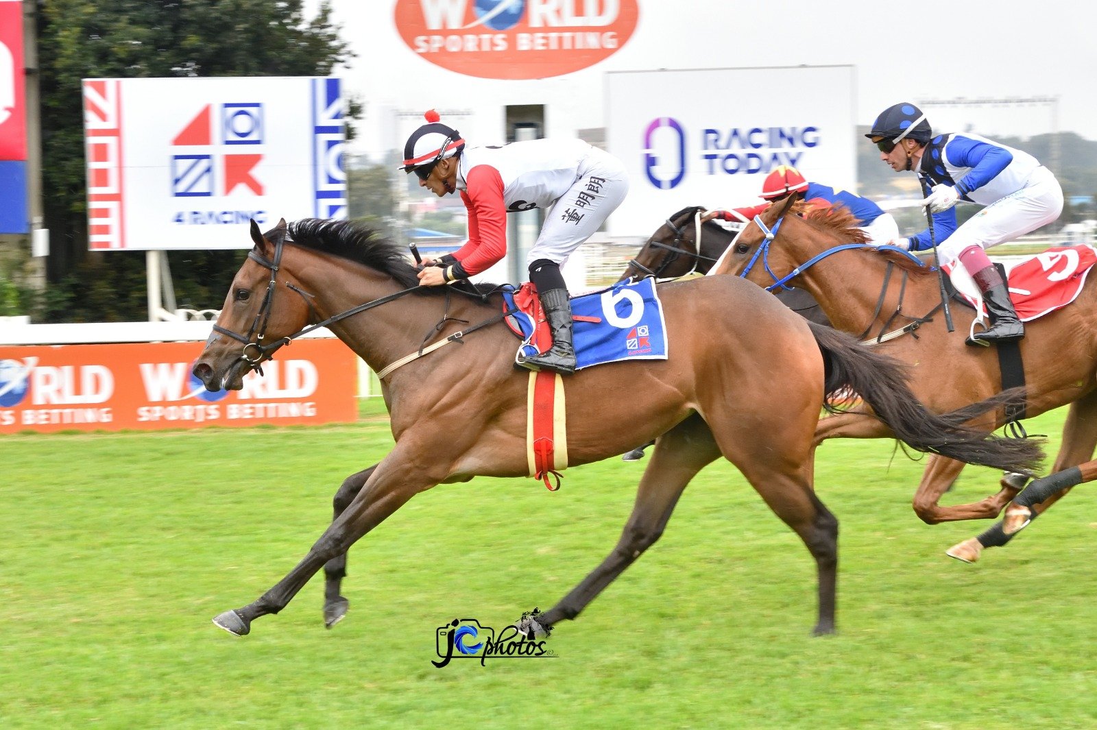 More wins are “Within Reach” for this filly!