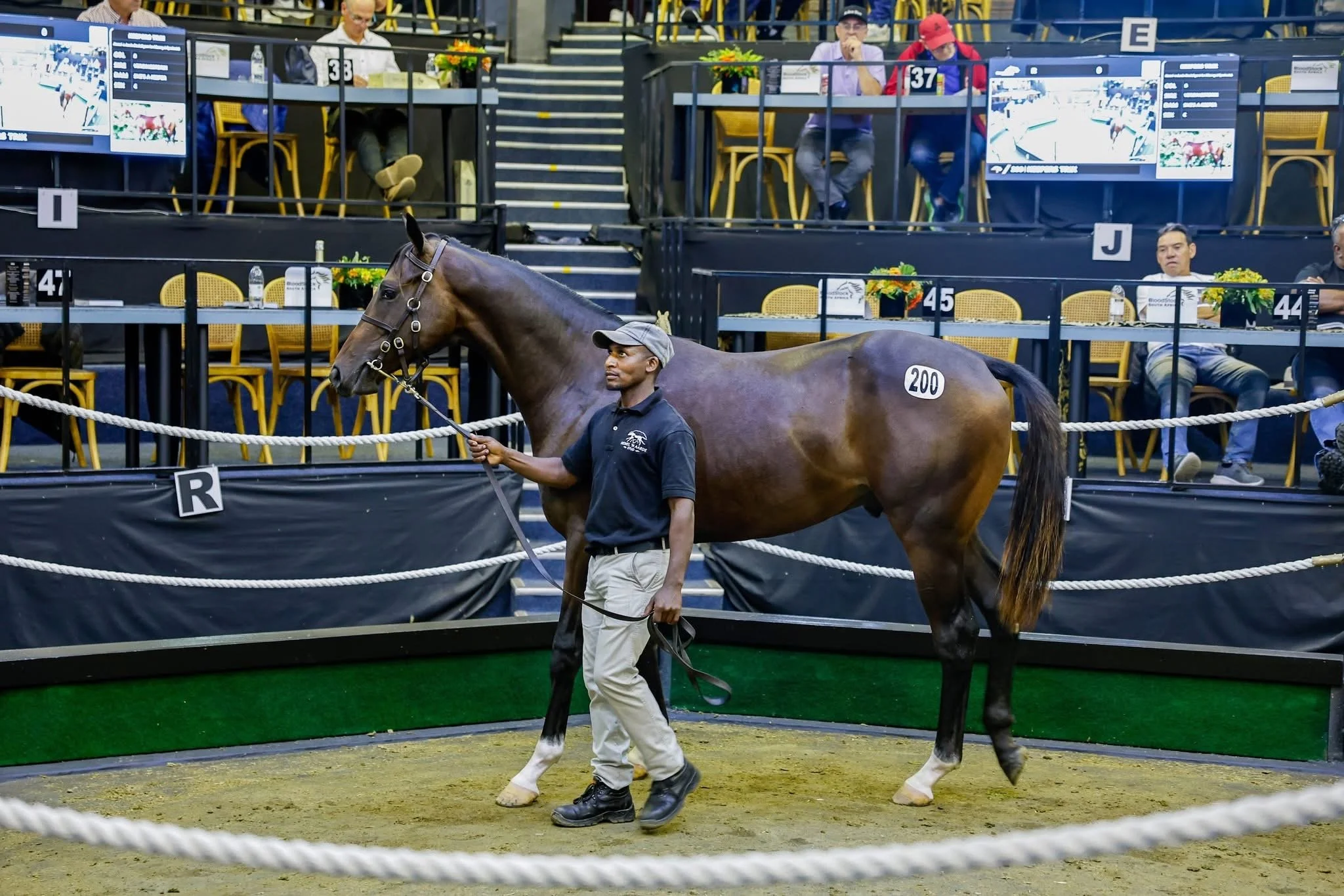 Exciting Prospects Join Sean Tarry Racing!