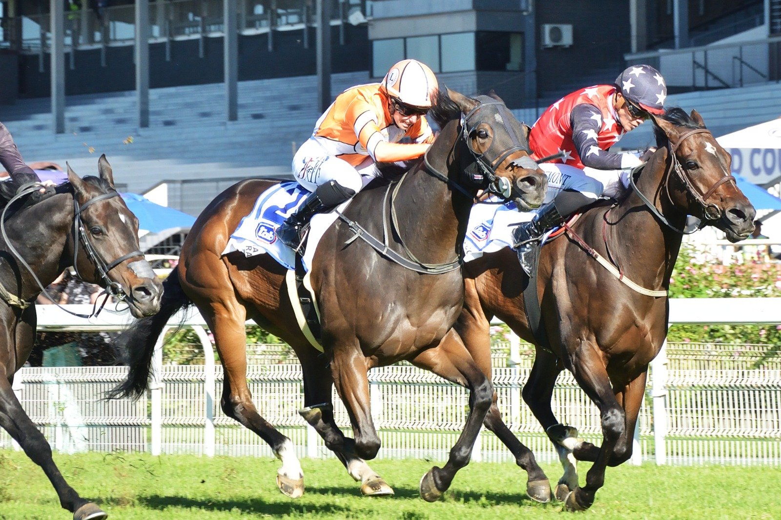 Classy Sorts Shine At The Championships Finale