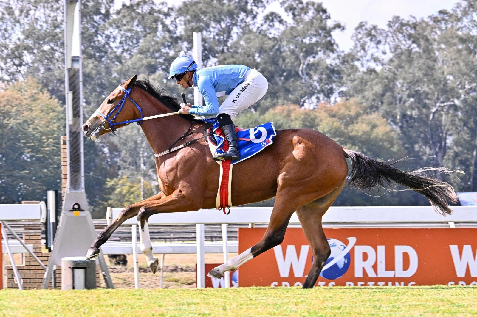 Fillies Score At The Vaal