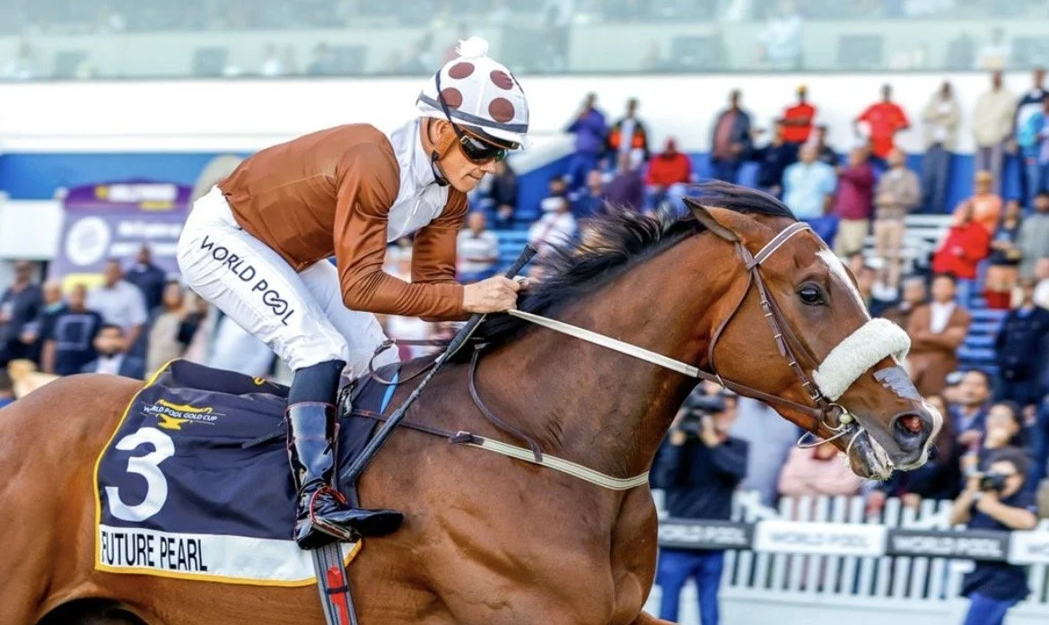 High Hopes For Gold Cup Day Runners