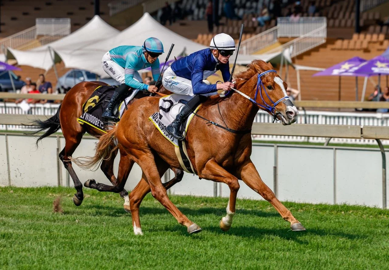 First-timers impress at Hollywoodbets Scottsville