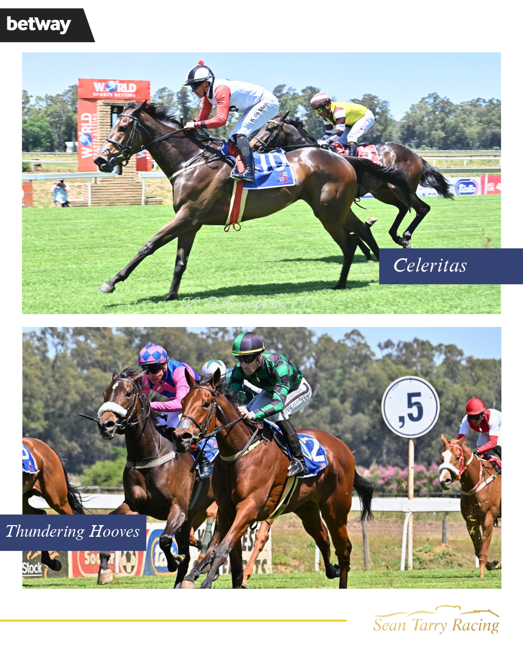 Well Bred Fillies Star At TAB Vaal