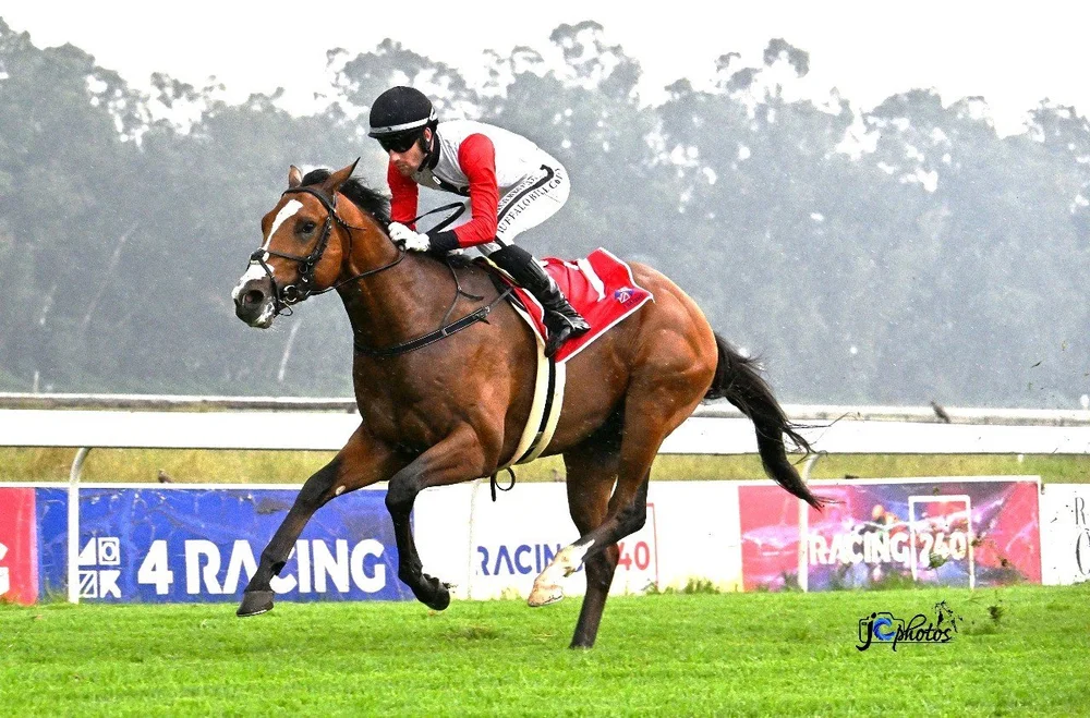 Tin Pan Alley Impresses On Debut — Sean Tarry Racing