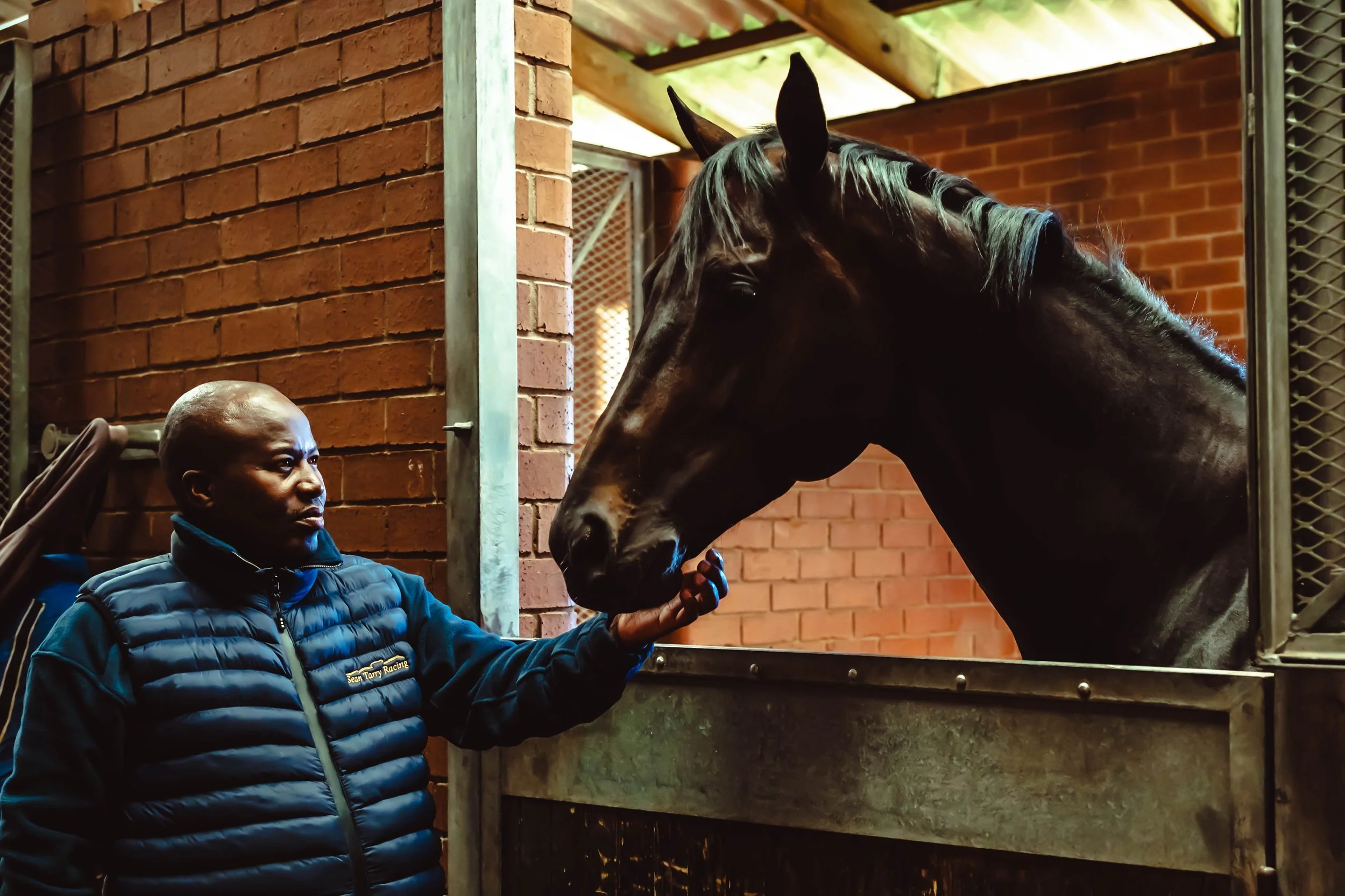 Sean Tarry Racing - Race Horse Trainer in Johannesburg