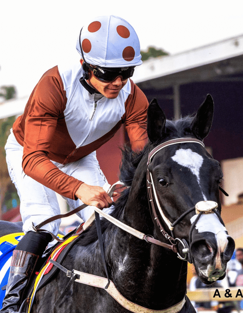 Sean Tarry Racing - Useful Resources