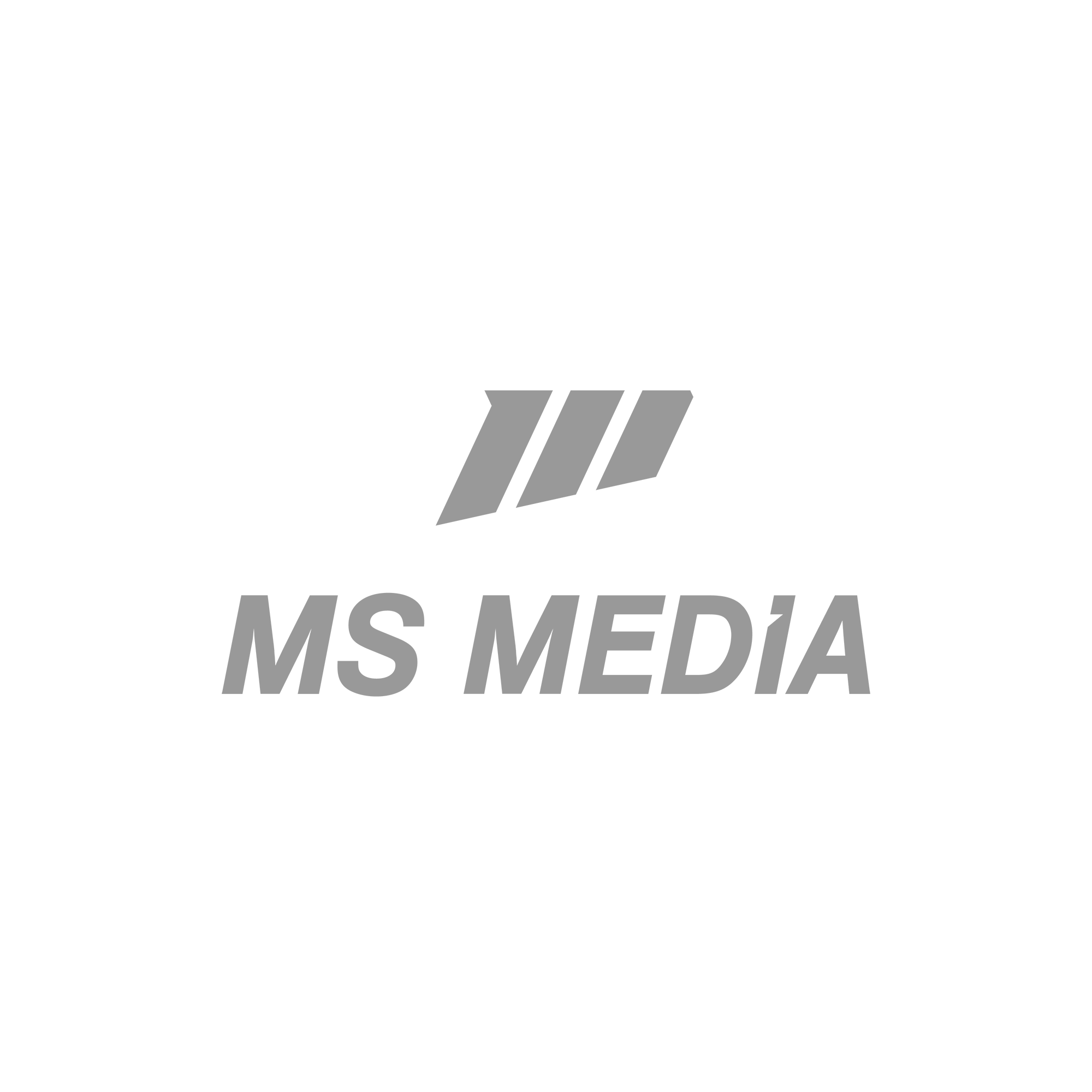MS Media PNG Gray.png
