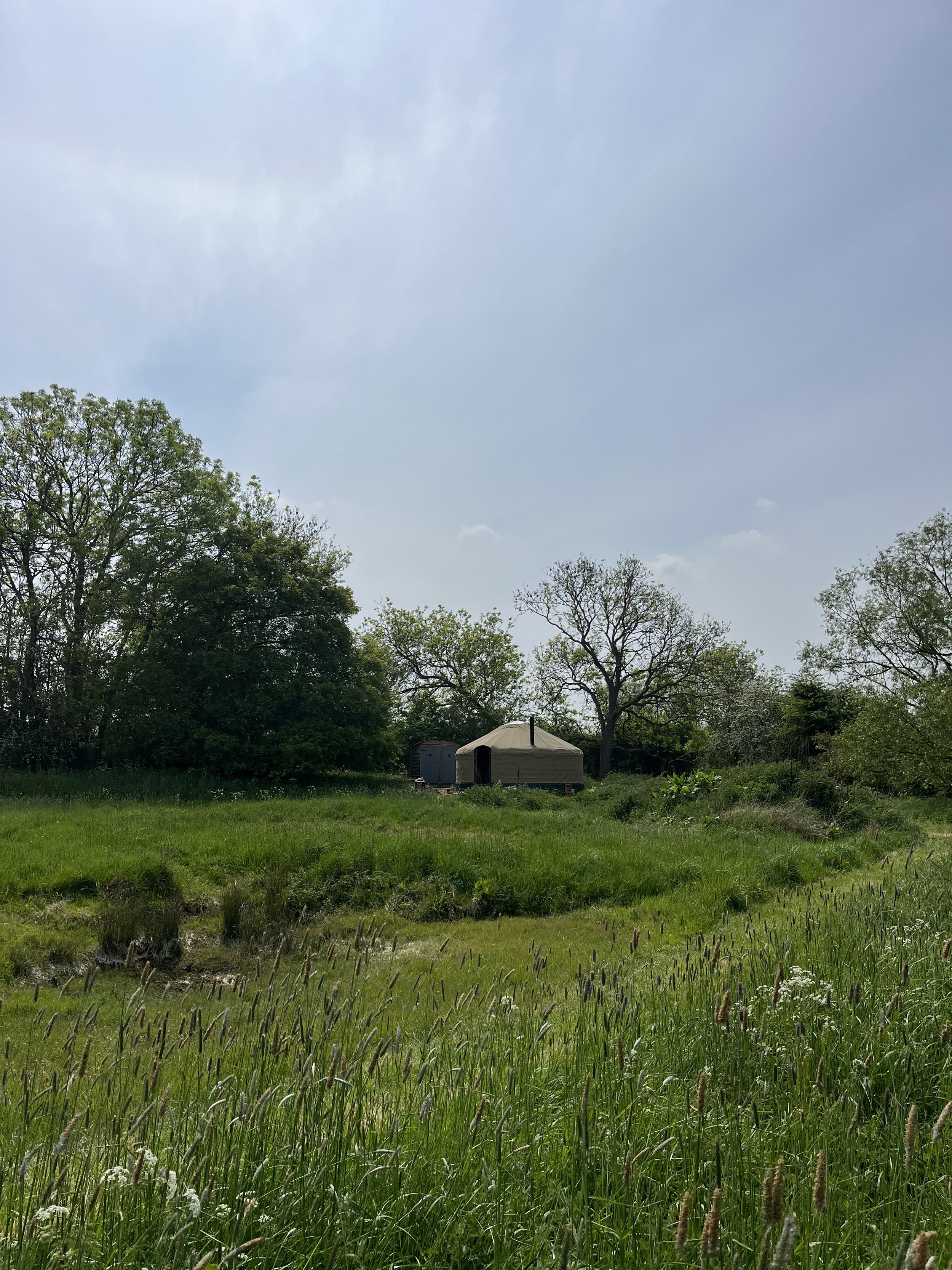 IMG_9506.jpeg