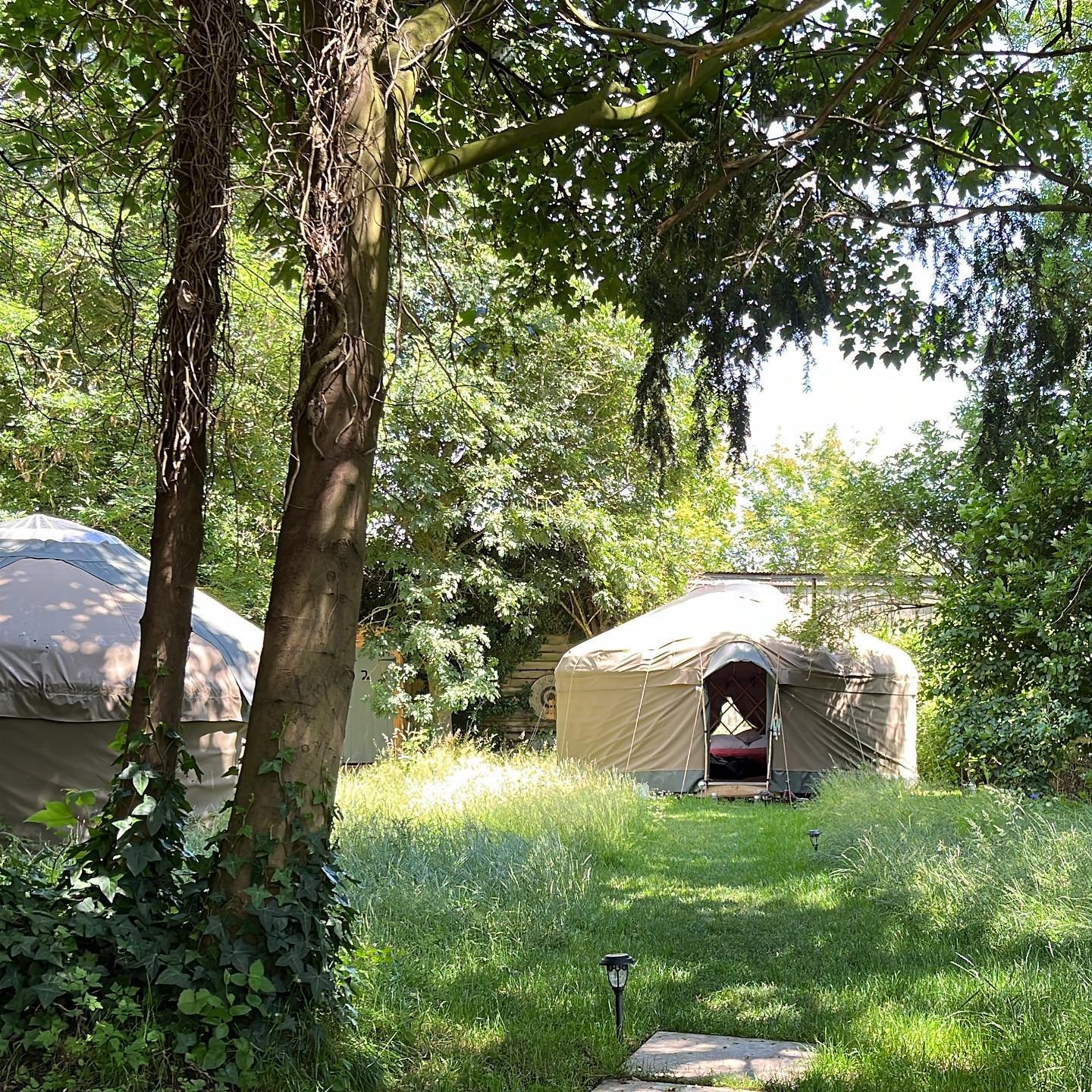 What a way to celebrate #midsummer #peace #tranquility #mindful #yurt #yurtlife #nordicstyle #nordicinspiration #nordicglamping #oxfordshire #yurthire interested in a yurt stay, hire or purchase? Details via links in our bio