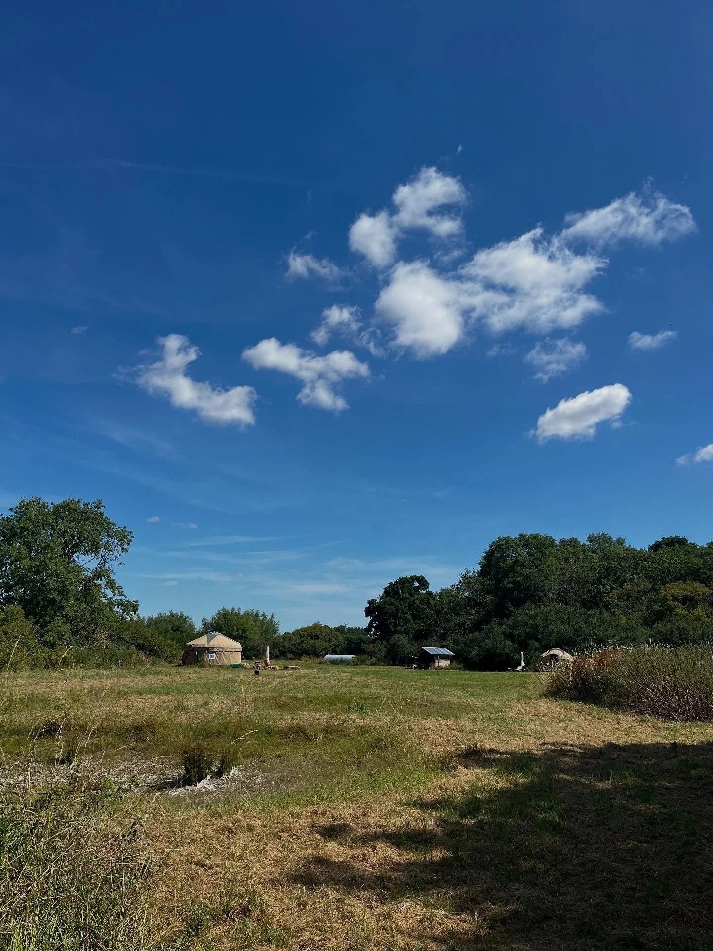 Found this dreamy music via a creator on TikTok - it fits perfectly with the site - do give the artist @blackadder.music a listen 🎶🌞🌿