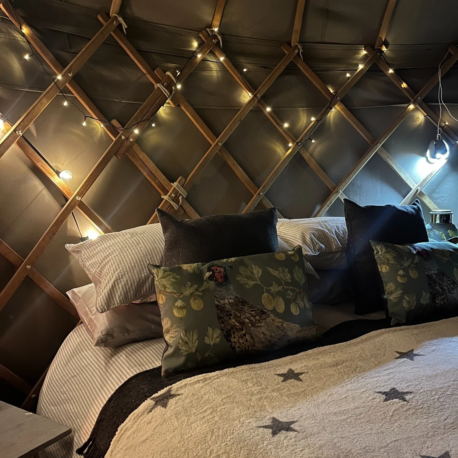 ✨ Bonfire Night at Botswicky Copse ✨

There&rsquo;s no better place to watch the sky come alive than from your own cosy yurt. 🔥
Settle by our on site bonfire, your own fire-pit or wood-burning stove, wrap yourself in a blanket, and watch fireworks s