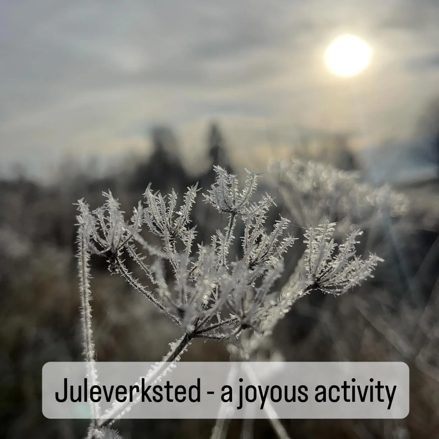 In Norway you will often find Juleverksted in towns, craft markets and village gatherings. 

The literal translation of Juleverksted is Christmas workshop and these little events are normally always free to attend, focused on children making cute dec