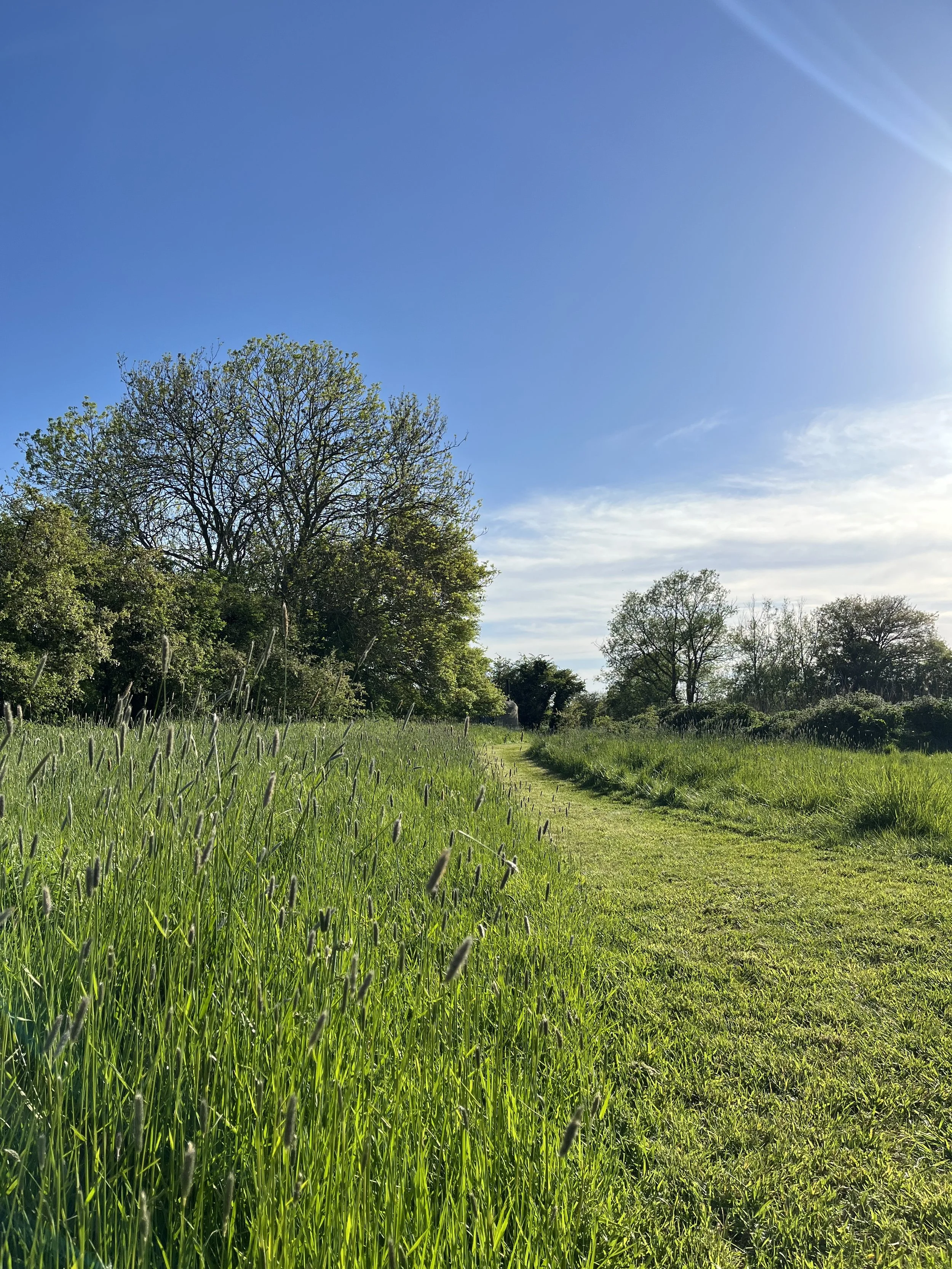 IMG_9403.jpeg