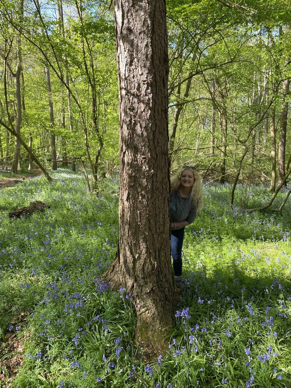 Bluebell woodland walk near Botswicky, Wiltshire, one of the natural highlights close to the site