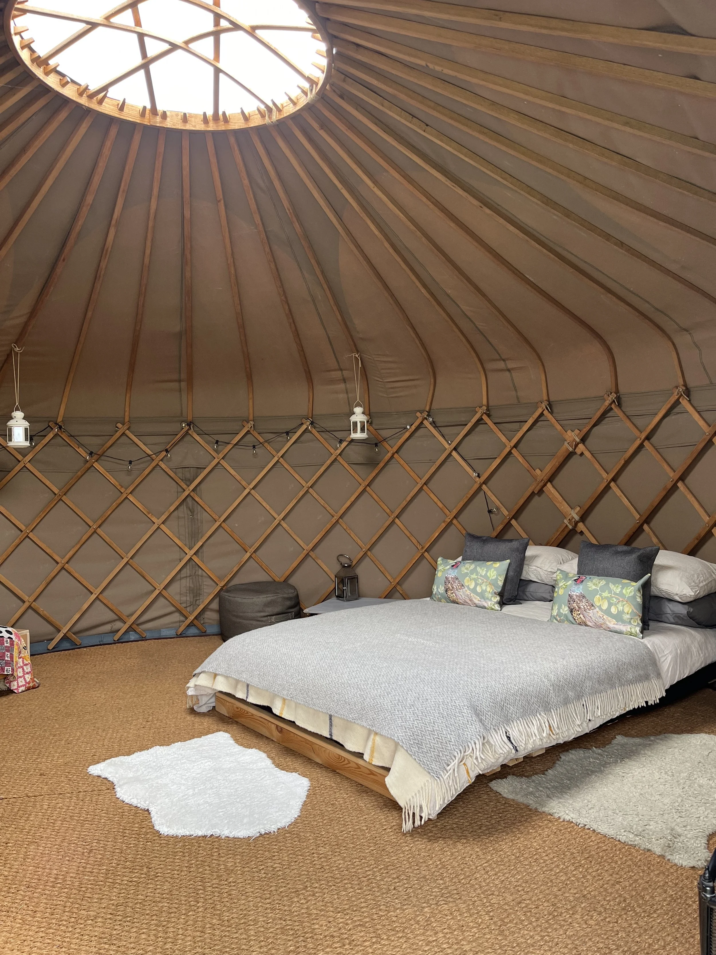 Natural yurt interior showing yurt crown and a double bed with cosy blankets and cushions