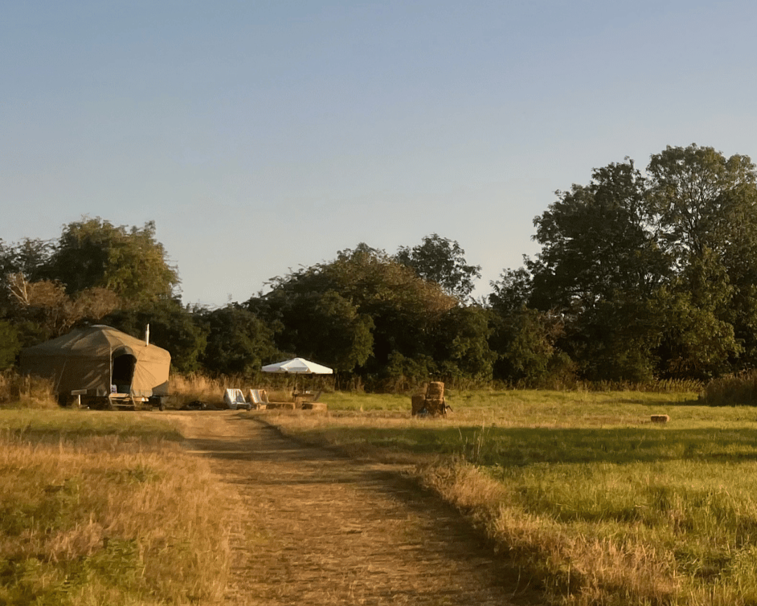 a handcrafted yurt in glowing evening sunlight in Wiltshire