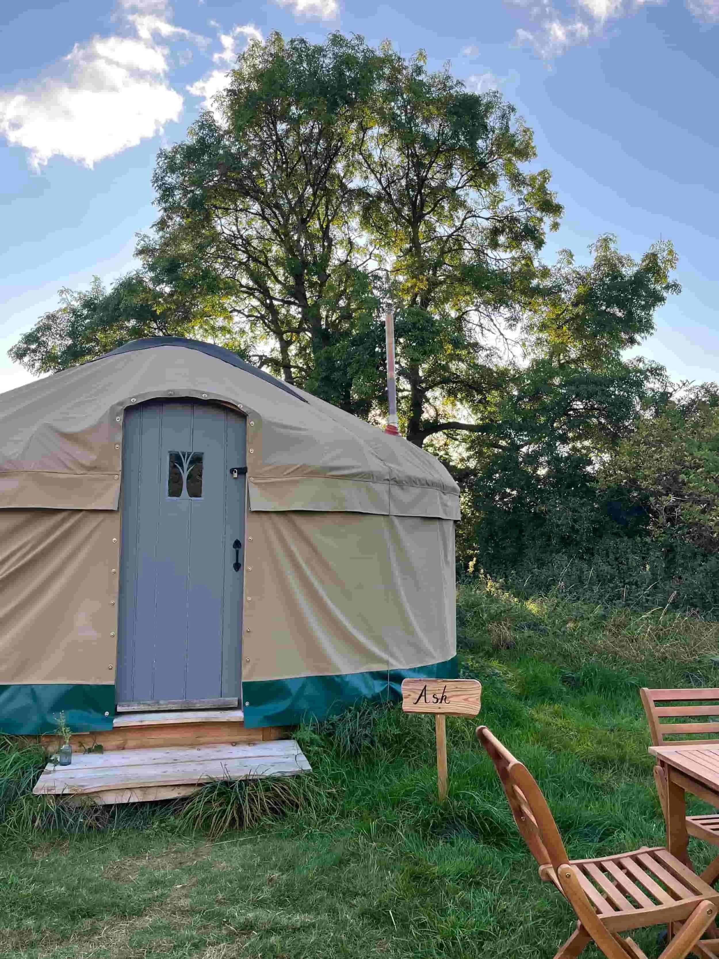 Handbuilt Ash yurt with painted wooden door and carved tree detail, ancient ash tree behind, Botswicky