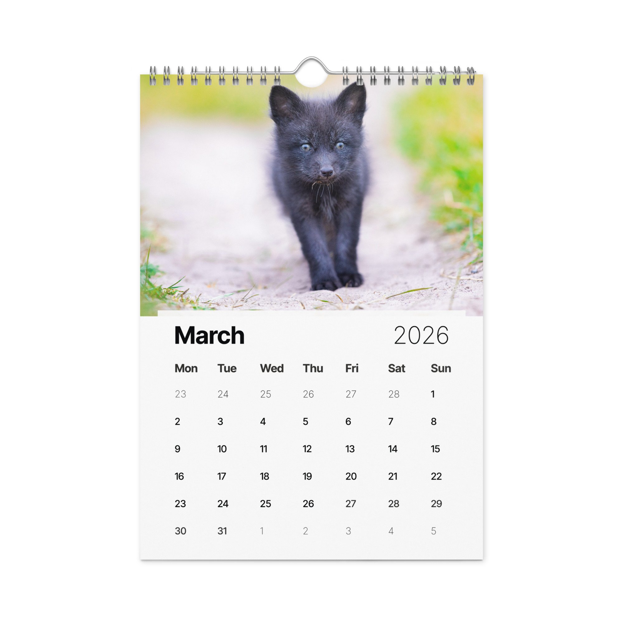 Wild Foxes Wall calendar (2026) — Janet Diane Photography (Copy)