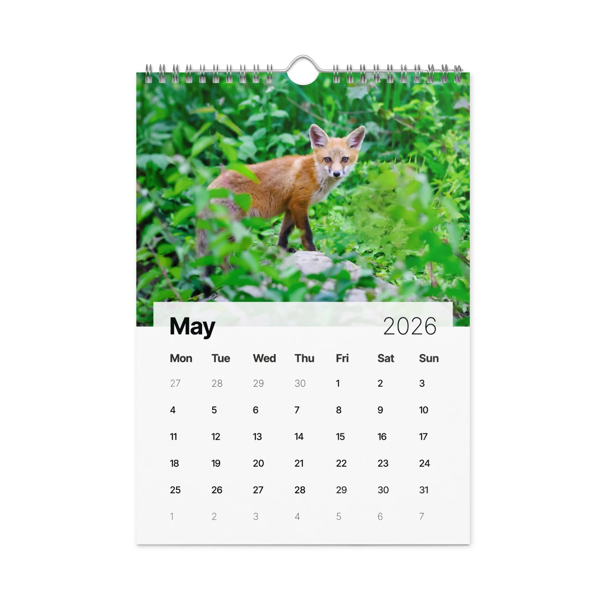 Wild Foxes Wall calendar (2026) — Janet Diane Photography (Copy)