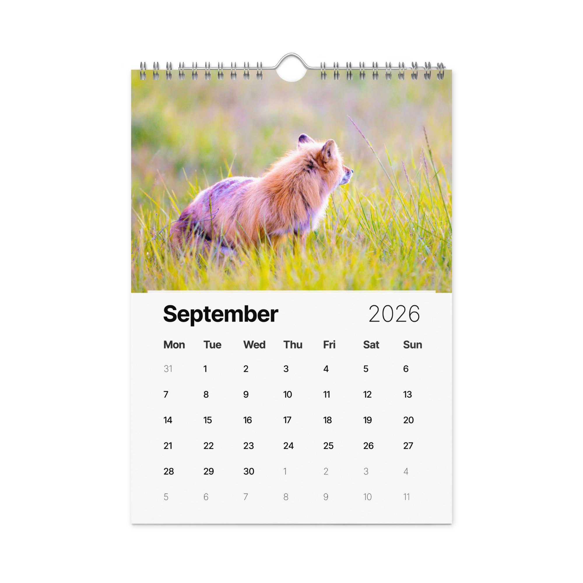 Wild Foxes Wall calendar (2026) — Janet Diane Photography (Copy)