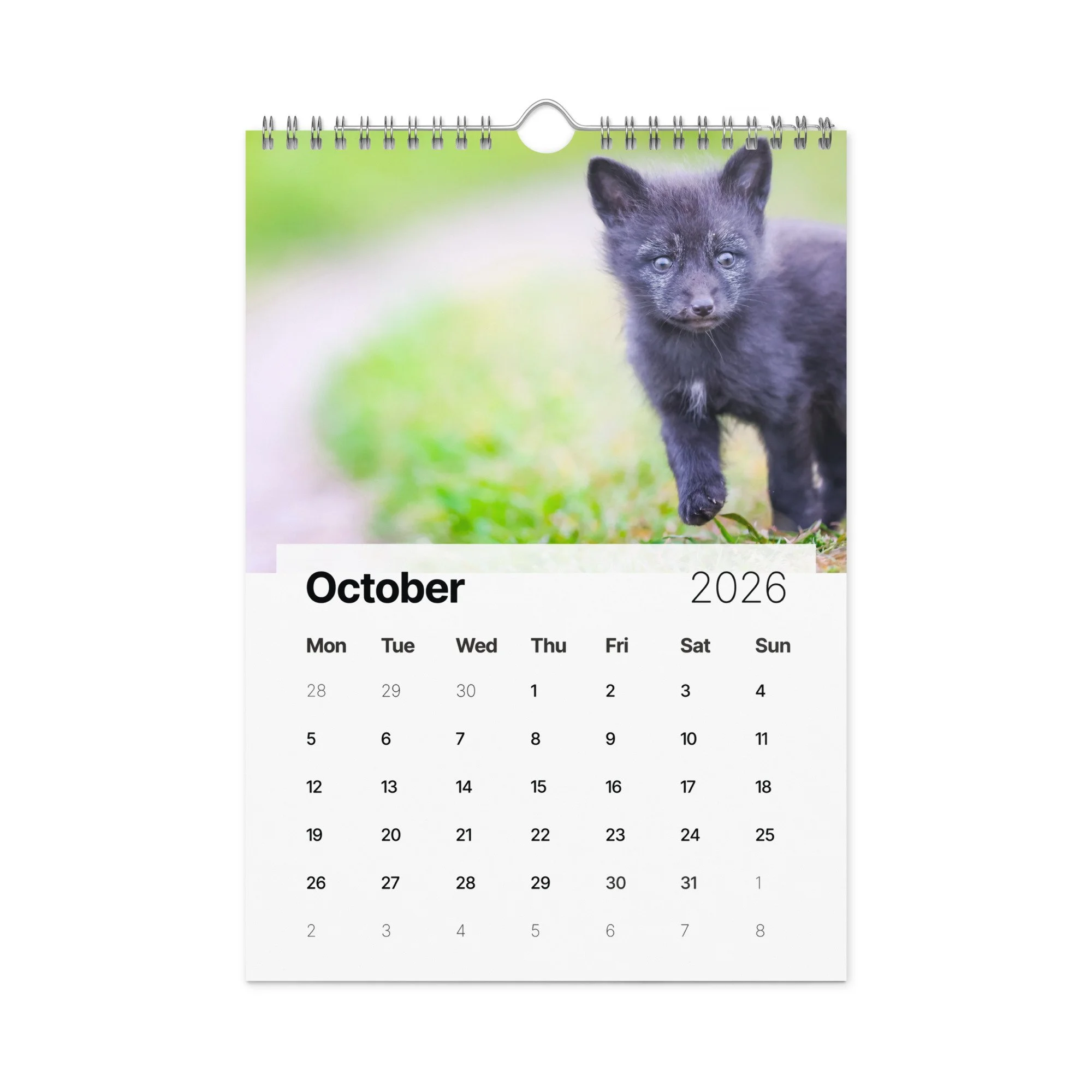 Wild Foxes Wall calendar (2026) — Janet Diane Photography (Copy)